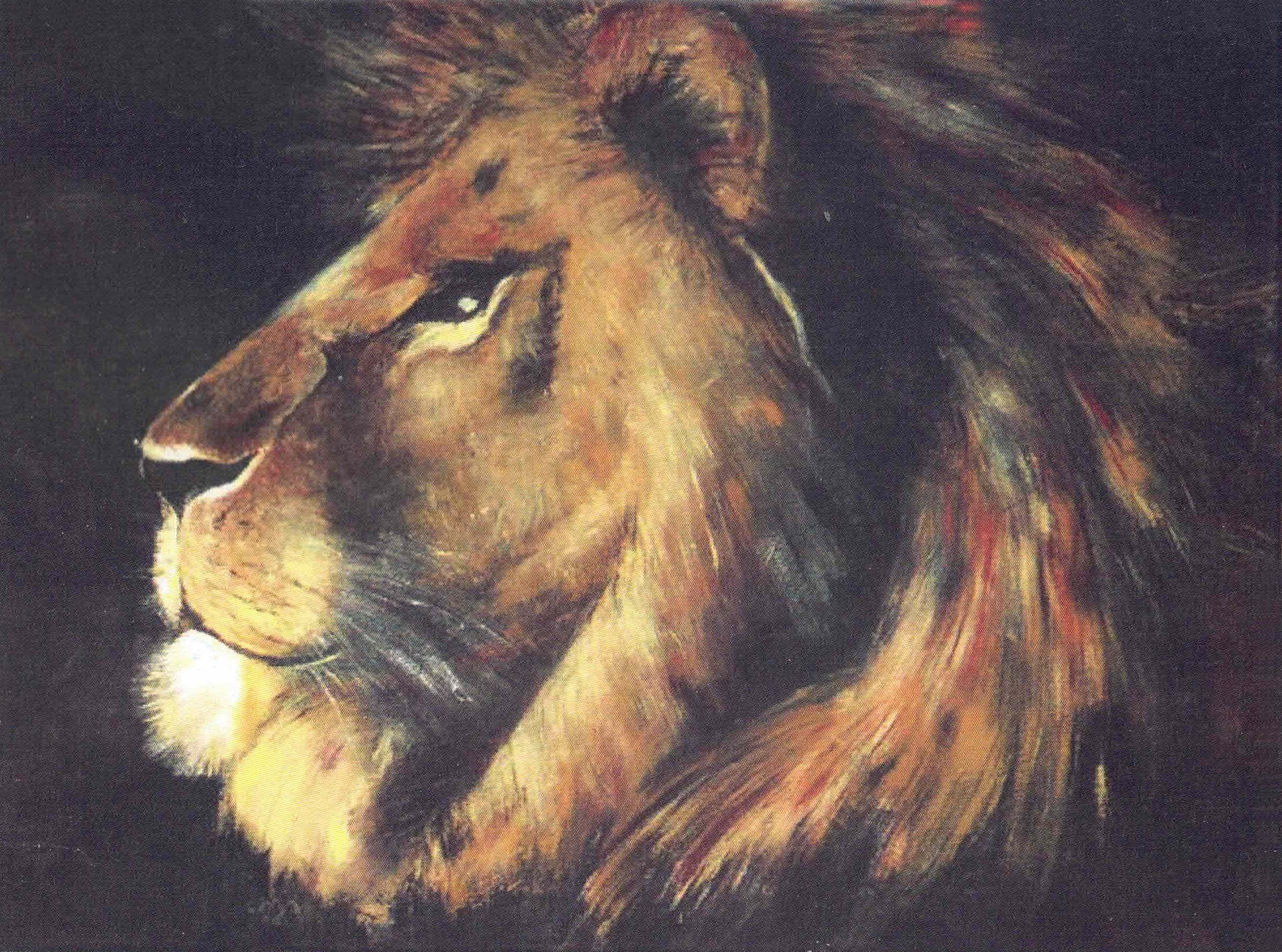 Lion